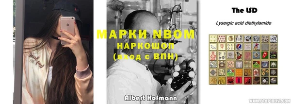 ПСИЛОЦИБИНОВЫЕ ГРИБЫ Верея