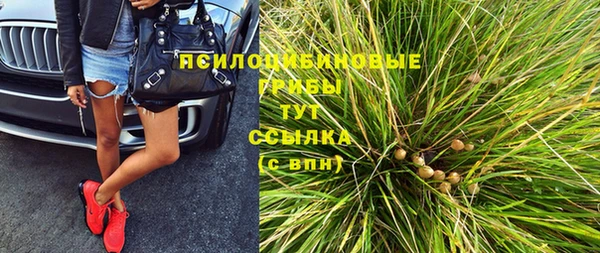 mix Арсеньев