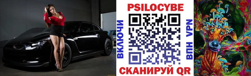 Галлюциногенные грибы Cubensis  где купить наркотик  Болотное 